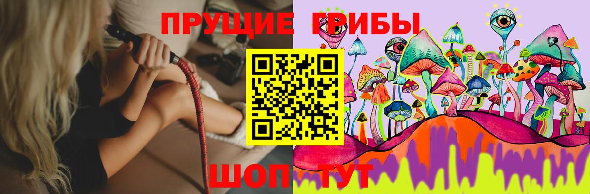 Ленинск-Кузнецкий  закладка  Вход с VPN  Псилоцибиновые грибы MAGIC MUSHROOMS  Псилоцибиновые грибы Psilocybine cubensis 